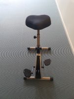 Deskbike Skrivbordscykel